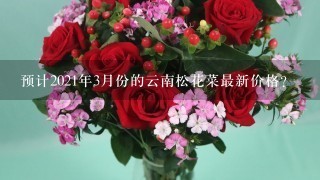 预计2021年3月份的云南松花菜最新价格？