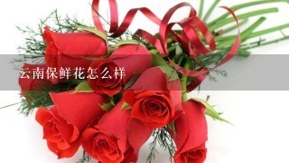 云南保鲜花怎么样