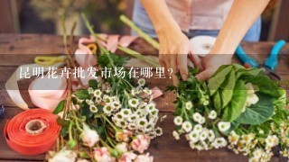 昆明花卉批发市场在哪里？