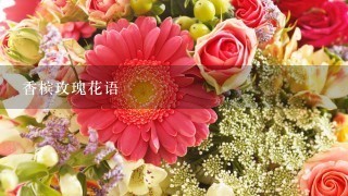 香槟玫瑰花语