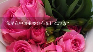 鸢尾在中国主要分布在什么地方？