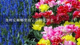 贵州安顺哪里有云南鲜花饼卖