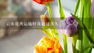 云南花卉运输时效超过多久