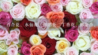 百合花、水仙花、杜鹃花、丁香花、郁金香、桃花个长