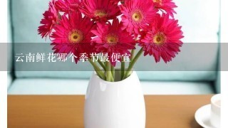 云南鲜花哪个季节最便宜