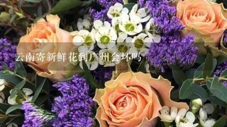 云南寄新鲜花到广州会坏吗