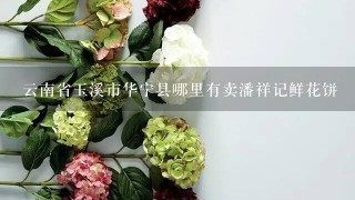 云南省玉溪市华宁县哪里有卖潘祥记鲜花饼