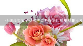 快到母亲节了想买些康乃馨请问那里鲜花批发便宜，请