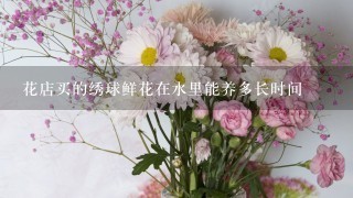 花店买的绣球鲜花在水里能养多长时间