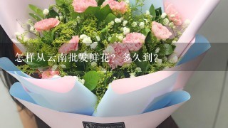 怎样从云南批发鲜花？多久到？