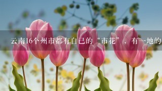 云南16个州市都有自己的“市花”，有一地的很特别