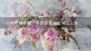 云南鲜花基地一手货源花间密码怎么样