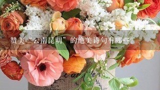 赞美“云南昆明”的绝美诗句有哪些？