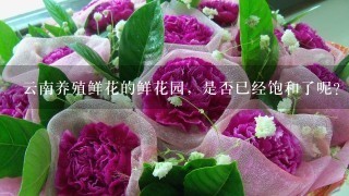 云南养殖鲜花的鲜花园，是否已经饱和了呢？