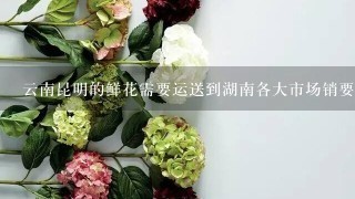 云南昆明的鲜花需要运送到湖南各大市场销要选择哪种交通公具并说明原因