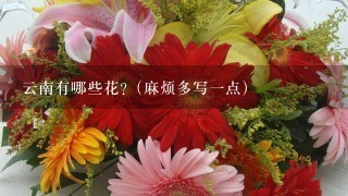 云南有哪些花?（麻烦多写一点）