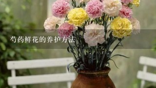 芍药鲜花的养护方法