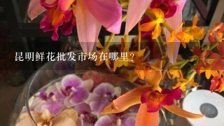 昆明鲜花批发市场在哪里？