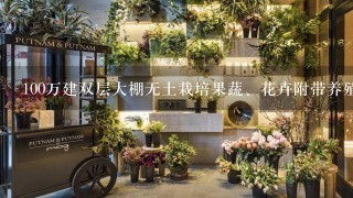 100万建双层大棚无土栽培果蔬、花卉附带养殖，资金够吗？或者还需要注意什么？请大侠支招。拜谢