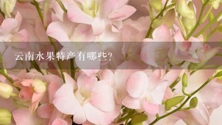 云南水果特产有哪些？