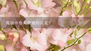 花语中有关坚强的花是?