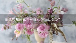 泰迪狗吃莲花白和鲜花饼吐怎么办？