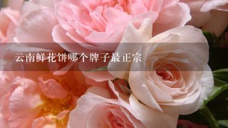 云南鲜花饼哪个牌子最正宗