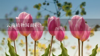 云南植物园面积？