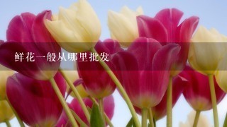 鲜花一般从哪里批发