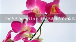 2009年冬2010春以来的连续干旱影响了云南鲜花的质量，却提高了鲜花的价格。2010年，作为冬虫夏草主产地之一的青海玉...