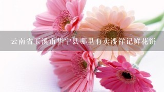 云南省玉溪市华宁县哪里有卖潘祥记鲜花饼