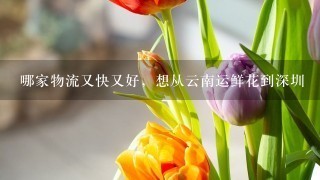 哪家物流又快又好，想从云南运鲜花到深圳