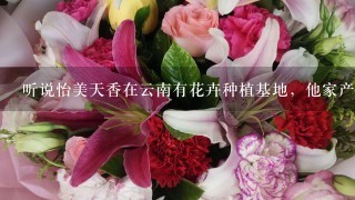 听说怡美天香在云南有花卉种植基地，他家产品是植物提取的？