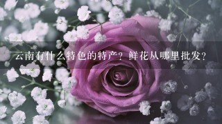 云南有什么特色的特产？鲜花从哪里批发？