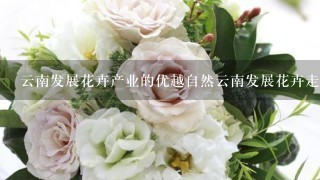 云南发展花卉产业的优越自然云南发展花卉走向国内和国际场的是什么条件是什么