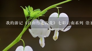 我的游记《自由行走的花》七彩云南系列 崇圣寺三塔