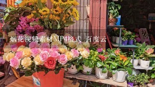 烟花视频素材MP4格式 百度云