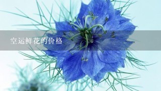 空运鲜花的价格