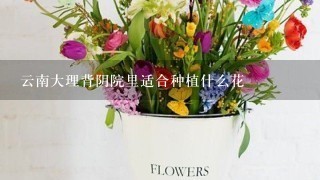 云南大理背阴院里适合种植什么花