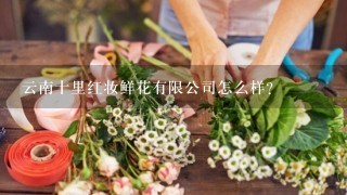 云南十里红妆鲜花有限公司怎么样？