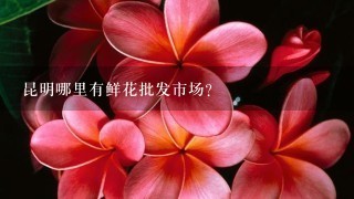 昆明哪里有鲜花批发市场?