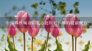 中国哪些城市的花市比较好？哪的花最便宜?