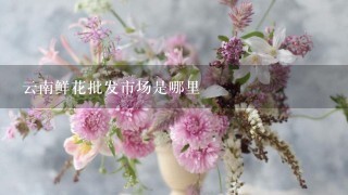 云南鲜花批发市场是哪里