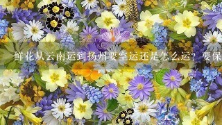 鲜花从云南运到扬州要空运还是怎么运？要保持鲜花的新鲜程度。