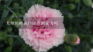 大理的鲜花口红真的无害吗