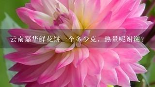 云南嘉华鲜花饼一个多少克，热量呢谢谢？