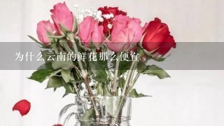 为什么云南的鲜花那么便宜