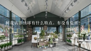 鲜花店洋绣球有什么特点，有没有危害？