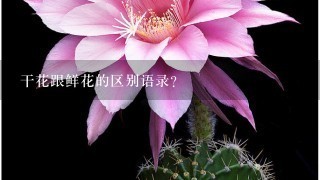 干花跟鲜花的区别语录？