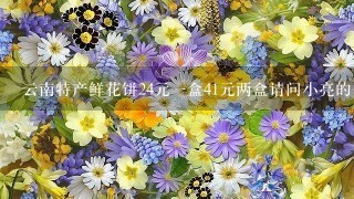 云南特产鲜花饼24元一盒41元两盒请问小亮的爸爸用22